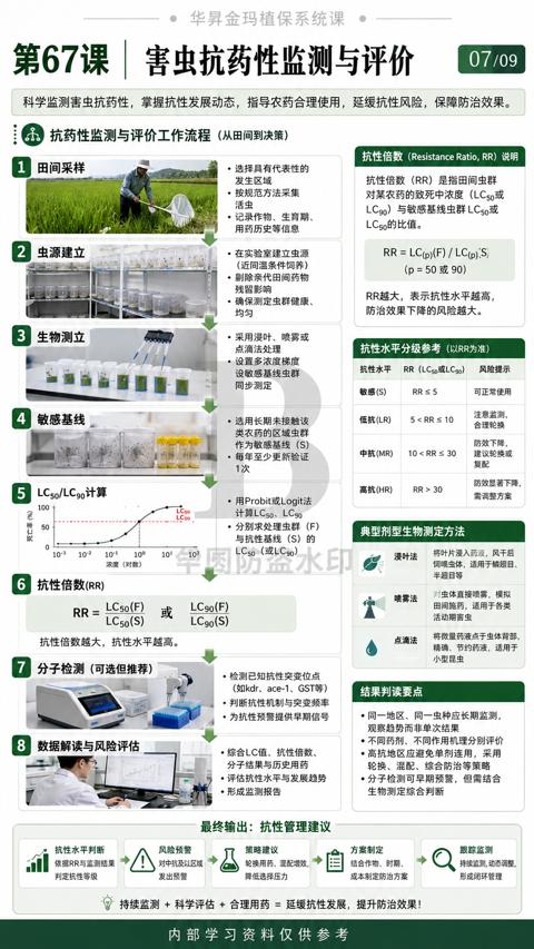 害虫抗药性监测与评价（科学监测害虫抗药性，掌握抗性发展动态，指导农药合理使用，延缓抗性风险，保障防治效果）｜华昇金玛植保系统课技术图