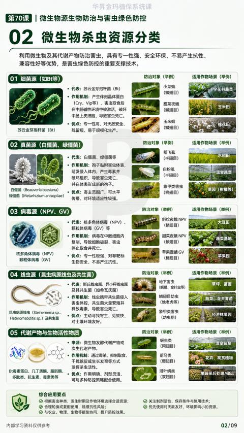 02 微生物杀虫资源分类（利用微生物及其代谢产物防治害虫，具有专一性强、安全环保、不易产生抗性）｜华昇金玛植保系统课技术图
