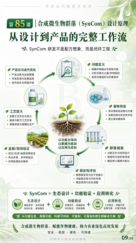 从设计到产品的完整工作流（合成微生物群落，赋能作物健康，助力农业绿色高效发展）｜华昇金玛植保系统课技术图