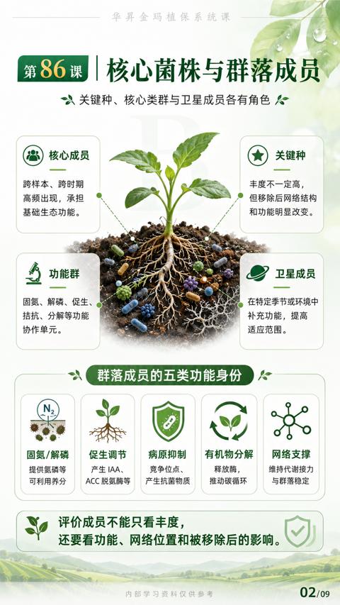 核心菌株与群落成员（还要看功能、网络位置和被移除后的影响）｜华昇金玛植保系统课技术图