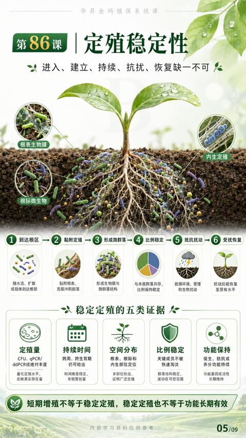 定殖稳定性（短期增殖不等于稳定定殖，稳定定殖也不等于功能长期有效）｜华昇金玛植保系统课技术图