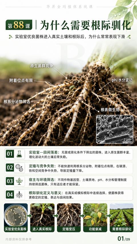 为什么需要根际驯化（实验室一田间落差）｜华昇金玛植保系统课技术图