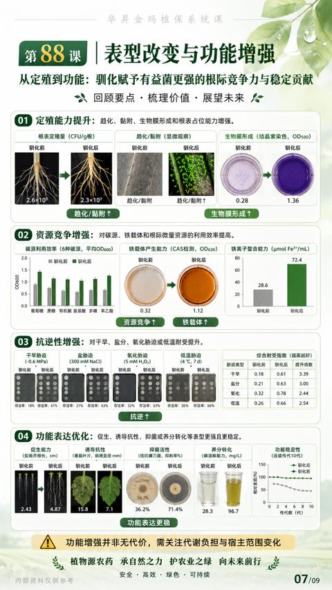 第88课|表型改变与功能增强（01 定殖能力提升）｜华昇金玛植保系统课技术图