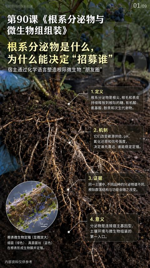 根系分泌物是什么（根际群落结构与功能会随之改变）｜华昇金玛植保系统课技术图