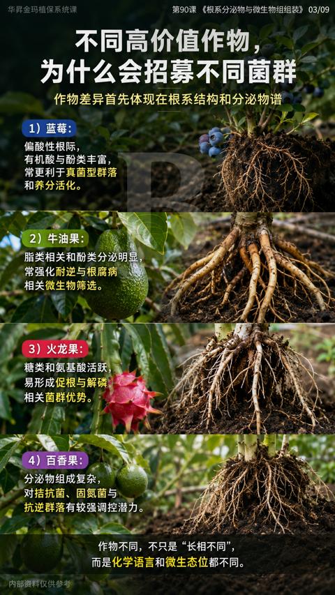 不同高价值作物（第90课《根系分泌物与微生物组组装》03/09）｜华昇金玛植保系统课技术图