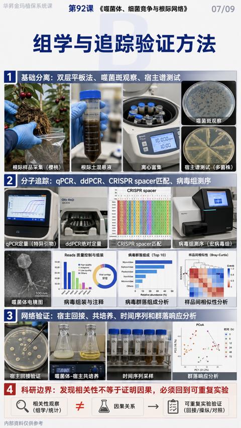 组学与追踪验证方法（分子追踪）｜华昇金玛植保系统课技术图