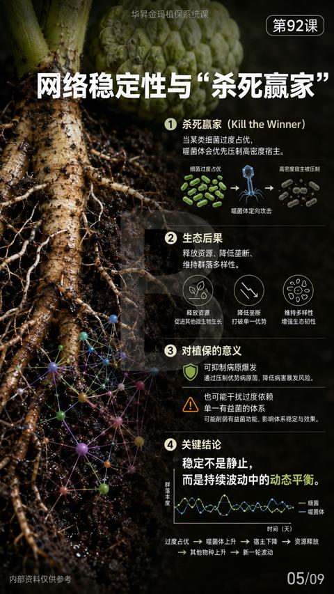 网络稳定性与“杀死赢家（可能削弱有益薗功能，影响体系稳定与效果）｜华昇金玛植保系统课技术图