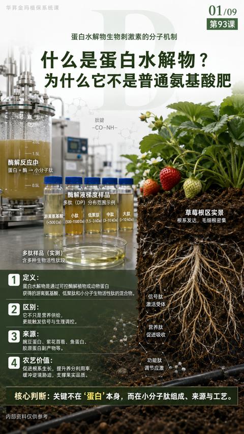 什么是蛋白水解物（获得的游离氨基酸、低聚肽和小分子生物活性肽的混合物）｜华昇金玛植保系统课技术图