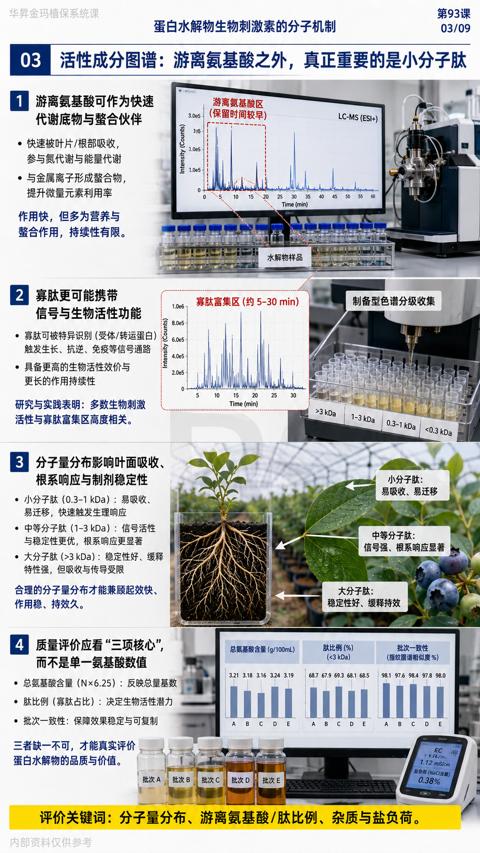 Intensity （Counts）（评价关键词）｜华昇金玛植保系统课技术图