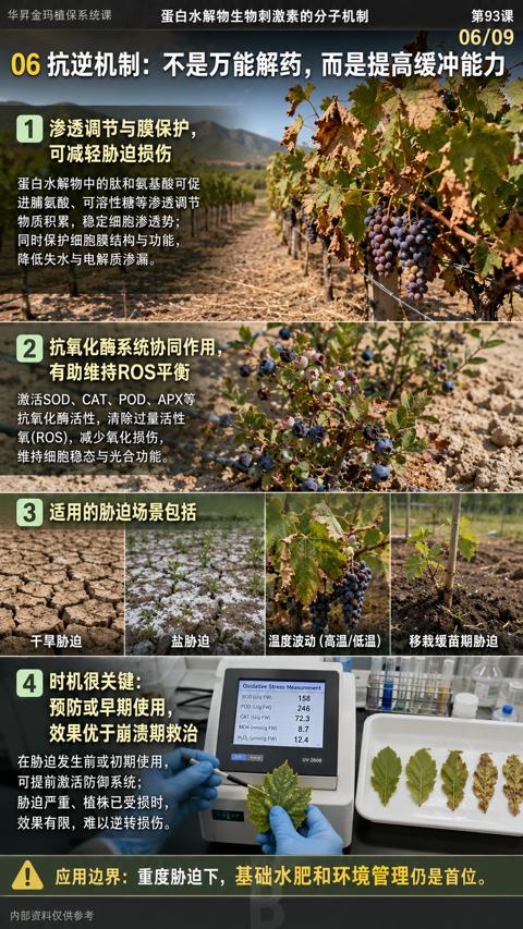 06抗逆机制：不是万能解药，而是提高缓冲能力（Oxidative Stress Measurement）｜华昇金玛植保系统课技术图