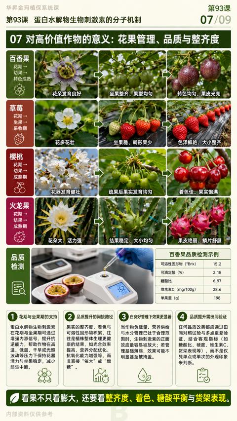 07 对高价值作物的意义：花果管理、品质与整齐度（看果不只看膨大，还要看整齐度、着色、糖酸平衡与货架表现）｜华昇金玛植保系统课技术图