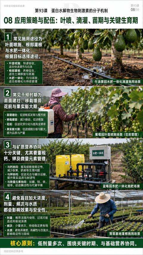 08 应用策略与配伍：叶喷、滴灌、苗期与关键生育期（核心原则）｜华昇金玛植保系统课技术图
