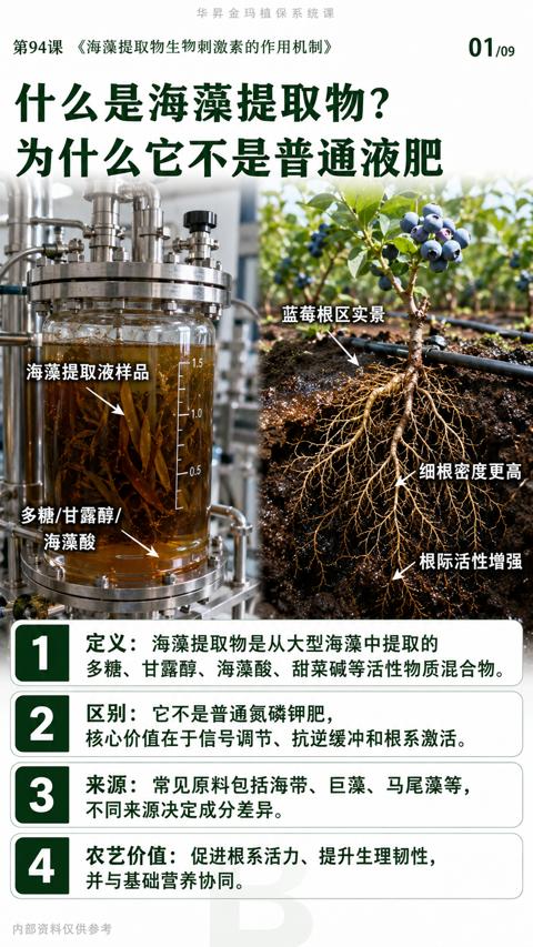 什么是海藻提取物（多糖、甘露醇、海藻酸、甜菜碱等活性物质混合物）｜华昇金玛植保系统课技术图