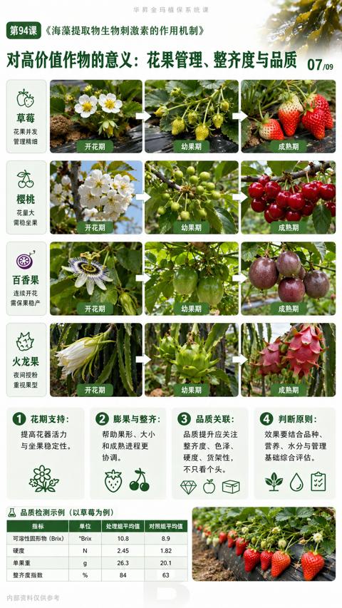 对高价值作物的意义：花果管理、整齐度与品质 07/09（海藻提取物生物刺激素的作用机制）｜华昇金玛植保系统课技术图