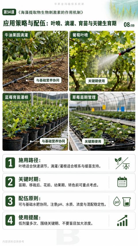 应用策略与配伍：叶喷、滴灌、育苗与关键生育期（可与基础水肥协同，注意pH、水质、浓度与混配稳定性）｜华昇金玛植保系统课技术图