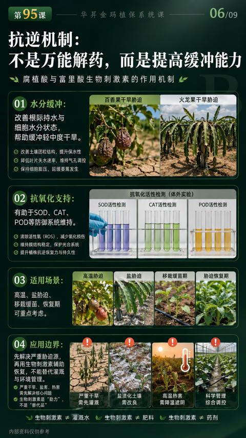 不是万能解药，而是提高缓冲能力（腐植酸与富里酸生物刺激素的作用机制）｜华昇金玛植保系统课技术图