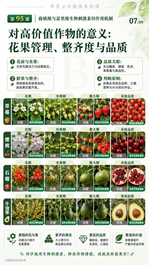花果管理、整齐度与品质（腐植酸与富里酸生物刺激素的作用机制）｜华昇金玛植保系统课技术图